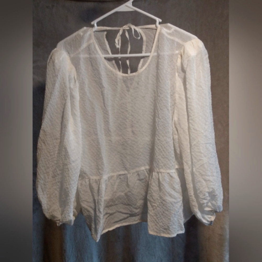 Sheer Express Blouse